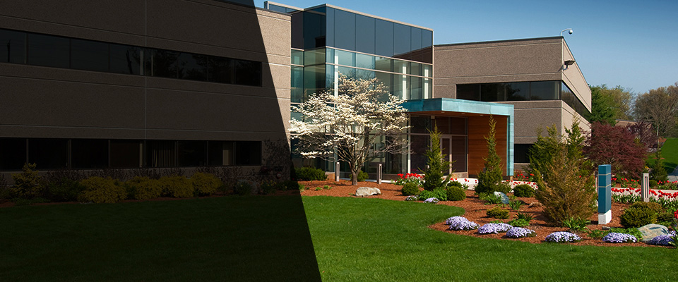 Toronto Landscapers