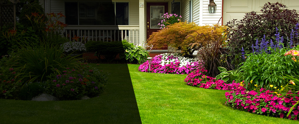 Toronto Landscapers