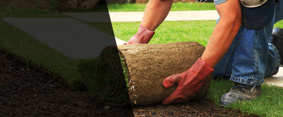 Toronto Landscapers